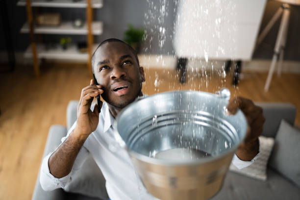 Best Commercial water damage restoration  in Alb, IA