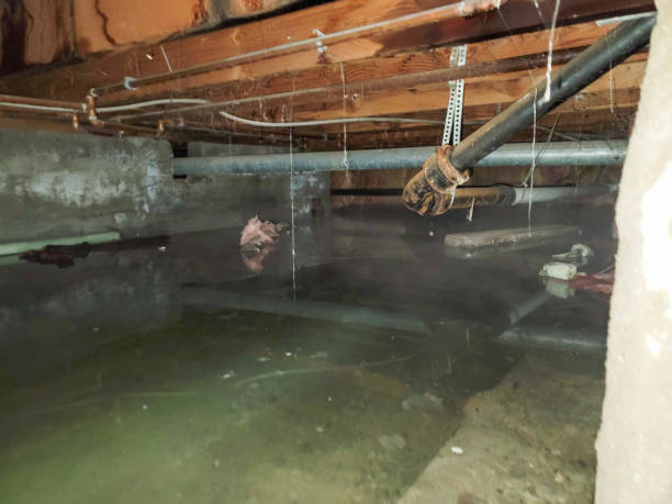 Best Water damage restoration near me  in Alb, IA