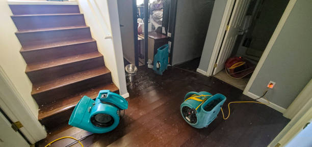 Best Commercial water damage restoration  in Alb, IA
