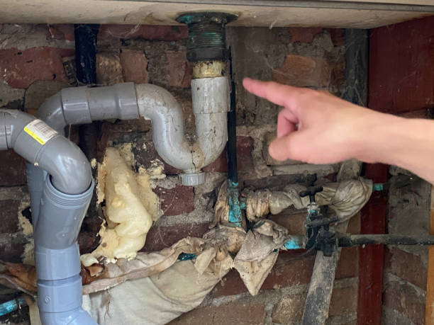 Best Fire Damage Restoration  in Alb, IA