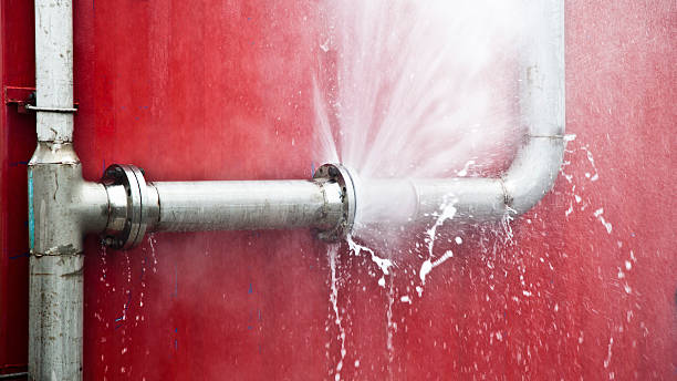 Best Water damage restoration near me  in Alb, IA