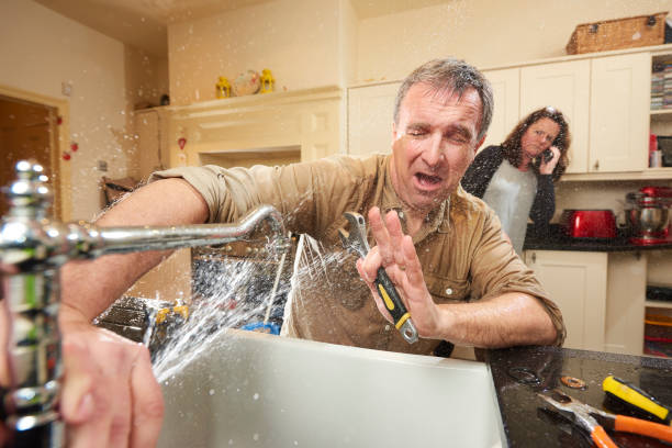 Best Water damage restoration services  in Alb, IA